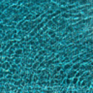 Meet your Posher, Annalie